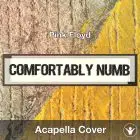 Comfortably Numb (Pink Floyd) - Acapella Cover