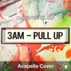 3AM (Pull Up) (Charlie XCX ft. MØ) - Acapella Cover