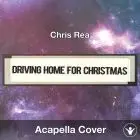 Driving Home for Christmas (Chris Rea) - Acapella Cover