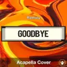 Goodbye (From Arcane, League Of Legends) - Ramsey - Acapella Cover