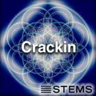 Audio Stems - Crackin - Stems
