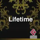 Lifetime Cubase Template