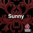 Sunny - Logic Pro template
