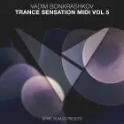 Trance Sensation MIDI Vol 5 [Bonus Spire Presets]