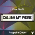 Calling My Phone (Lil Tjay, 6LACK) - Acapella Cover