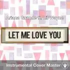 Ariana Grande ft. Lil Wayne - Let Me Love You (Instrumental Cover)