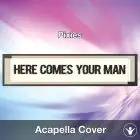 Here Comes Your Man (Pixies) - Acapella Cover