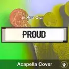 Proud (Rita Ora) - Acapella Cover