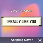 I Really Like You (Carly Rae Jepsen) - Acapella Cover