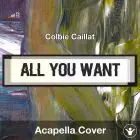 All Of You (Colbie Caillat) - Acapella Cover