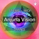 Anjuna Vision STEMS+Mastering