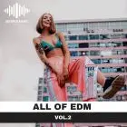 All of EDM vol.2