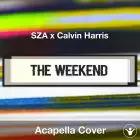 The Weekend (Funk Wav Remix) (SZA x Calvin Harris) - Acapella Cover