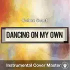Calum Scott - Dancing On My Own (Instrumental Cover)