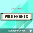 Wild Hearts - Keith Urban - Acapella Cover