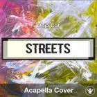 Streets (Doja Cat) - Acapella Cover