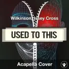 Used to This - Wilkinson, Issey Cross - Acapella Cover