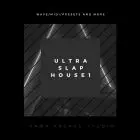 Ultra Slap House 1 (WAVE/MIDI/SERUM) 