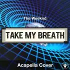 Take My Breath - The Weeknd - Acapella Cover