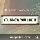 You Know You Like It (DJ Snake & Aluna George) - Acapella Cover