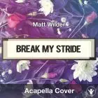 Break My Stride (Matt Wilder) - Acapella Cover