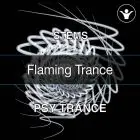 Flaming Trance  (STEMS, Mastering, Pesets, MIDI)