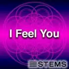 Audio Stems - I Feel You Tonight STEMS