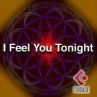 I Feel You Tonight Cubase Template