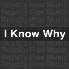 Royalty Free Music - I Know Why Ft Polycat