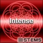 Audio Stems - Intense - STEMS