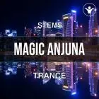  Magic Anjuna (STEMS, Mastering, Pesets, MIDI)