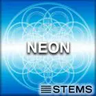 Audio Stems - Neon STEMS+Mastering
