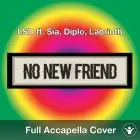 A Capella LSD ft. Sia, Diplo, Labrinth - No New Friend