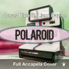 A Capella Jonas Blue ft. Liam Payne - Polaroid