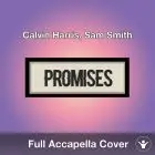 A Capella Calvin Harris, Sam Smith - Promises