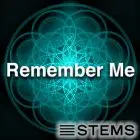 Audio Stems - Remember Me STEMS