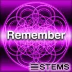 Audio Stems - Remember STEMS