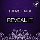 Revealed It To You STEMS