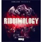 Riddimology 1.0 - Sounds