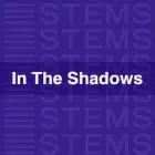 Audio Stems - In The Shadows.