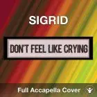 A Capella Sigrid Don't Feel Like Crying