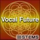 Audio Stems - VocalFutureSTEMS+Master
