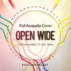 Open Wide (Calvin Harris ft. Big Sean) - Acapella Vocal Cover