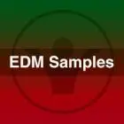 EDM Samples - Sounds