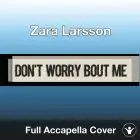 A Capella Zara Larsson - Don't Worry Bout Me