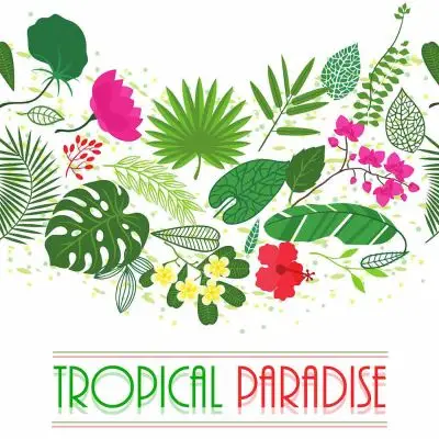Tropical ParadiseSample Packs