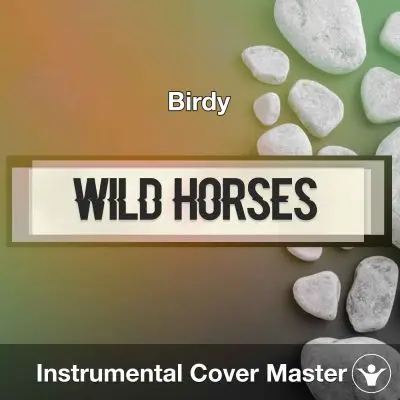 Birdy - Wild Horses (Instrumental Cover)Instrumental Covers
