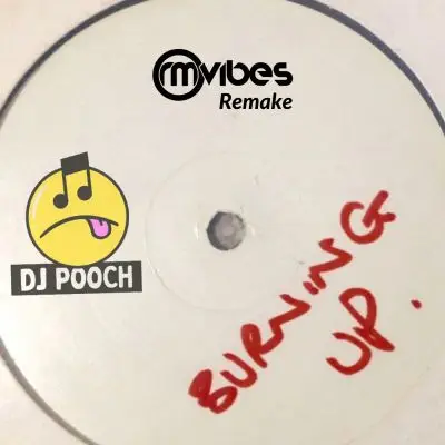 DJ Pooch - Burning Up (Ableton Live Remake)Ableton Templates, Serum Presets
