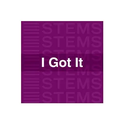 I Got It StemsAudio STEMS