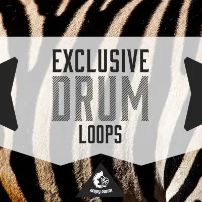 Exclusive Drum LoopsSample Packs